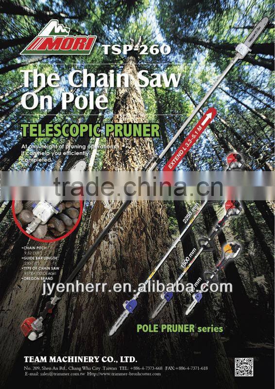 Gasoline Pole Chainsaw