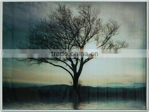 glass prints wall decor home decor arts glass printing with gold foil wall arts