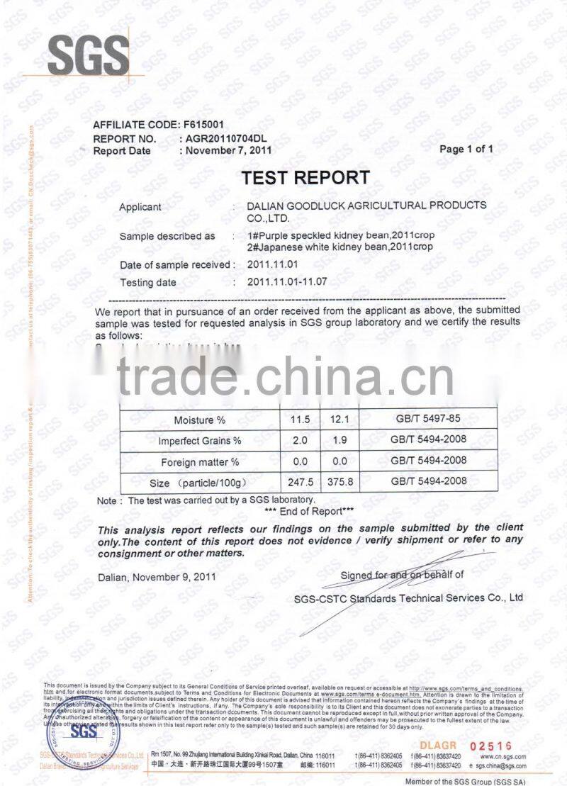 Snow White Pumpkin Seeds