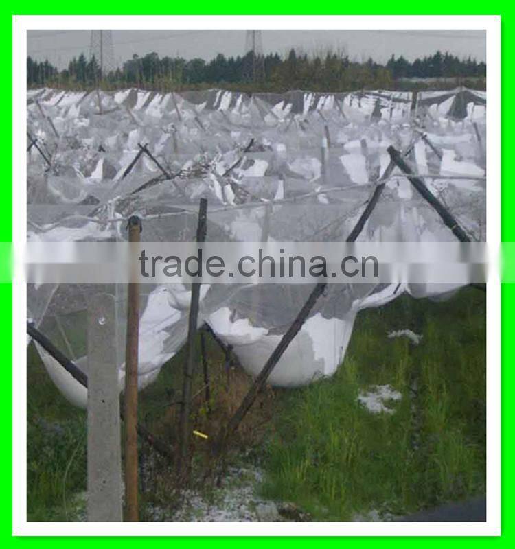 apple tree used 100% virgin HDPE anti hail net with low price