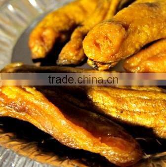 VIETNAM FRESH CAVENDISH BANANA