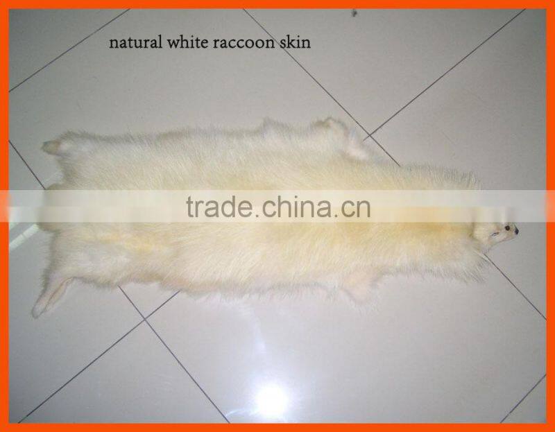 Factory prices white raccoon fur trim for hood