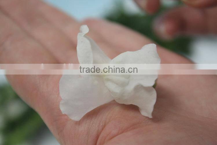 Reasonable price hot-sale high germination snapdragon seeds