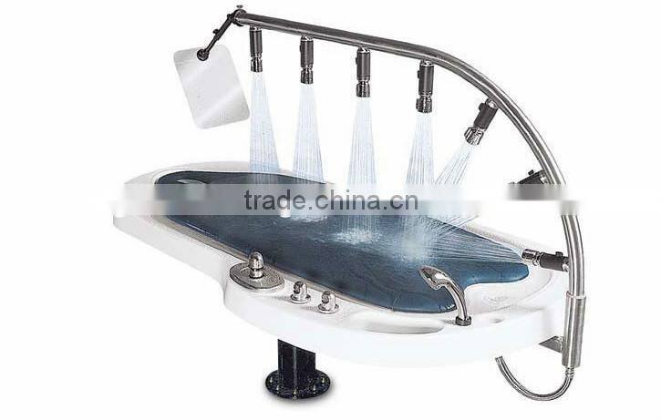 Latest shower beauty spa capsule with factory cost