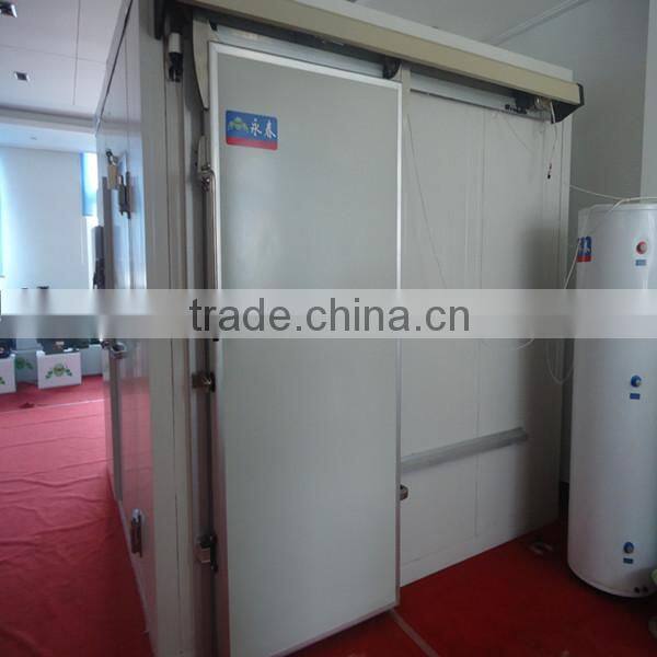 stainless steel frozen cold room door
