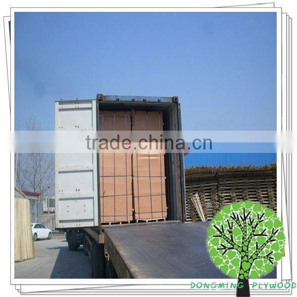 Falcata Core Blockboard