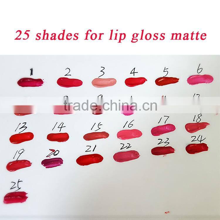 Private label 25 shades waterproof non sticky lip gloss with factory price