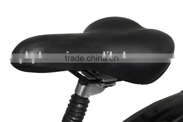 36V/250W/26" folding new electric bicycle with li-ion internal battery ( PN-EB011)