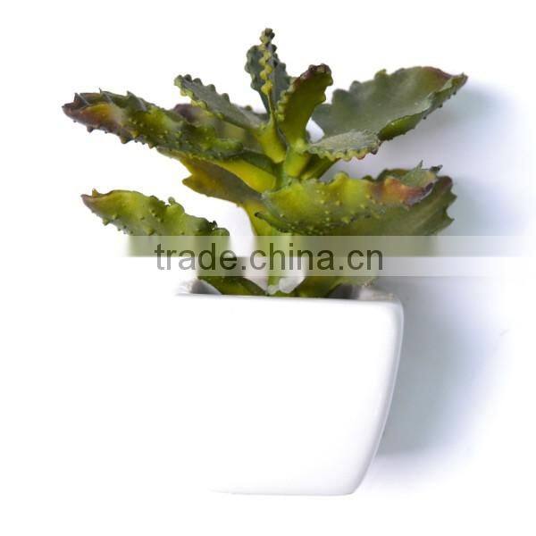 Square Potted Decorative Artificial Green Kalanchoe Succulent Plant