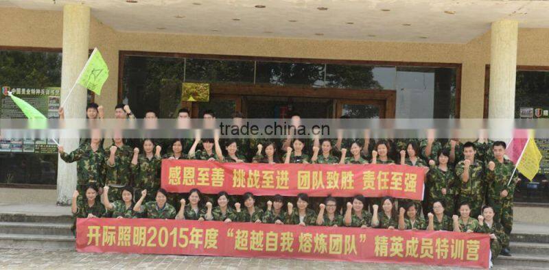 OEM cheap electrical white bakelite material 250v 10a tv plug socket