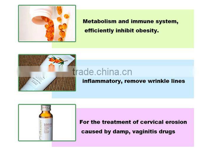The Top Quality 50ml Seabuckthorn Fruit Oil China Manufacturer Supply Berry Oil 19 Years Healthy Product