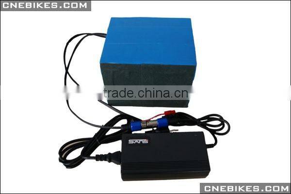 48v 20Ah LiFePo4 battery pack for high power ebike