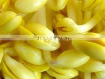 400g canned soybean sprouts