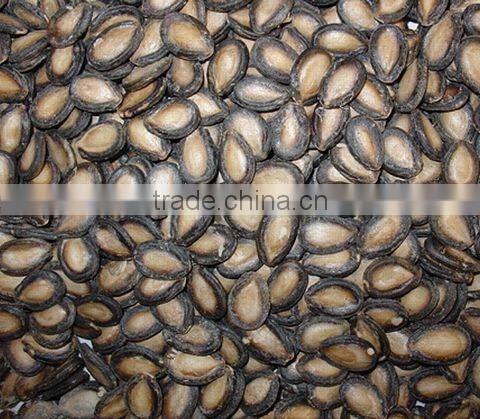 raw watermelon seed kernel high quality best service 2014