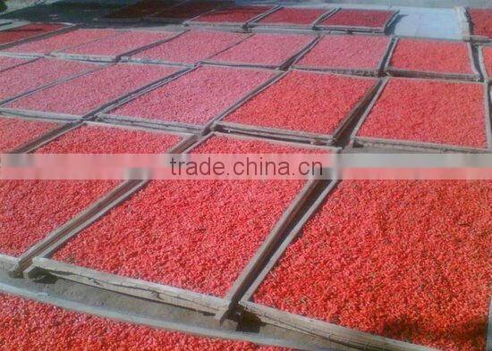 Nutrious Ningxia Wolfberry on Sale