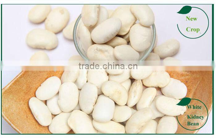 new crop Japanese type white kidney beans