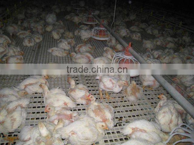 broiler raised flooring system