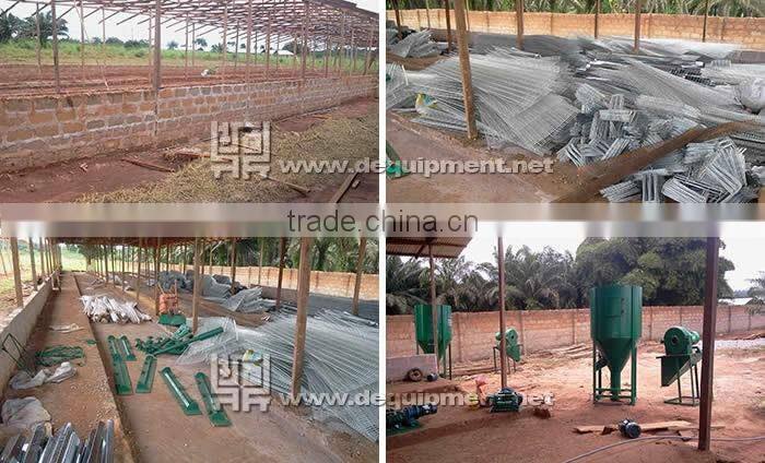 Nigerian chicken farms