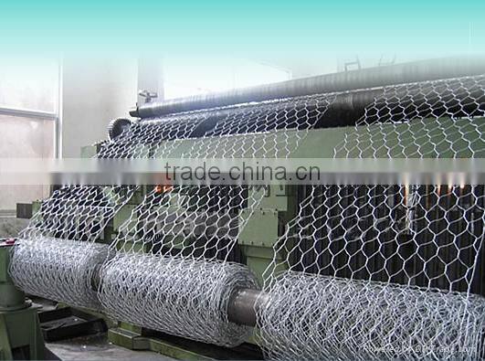 Anping Longyi factory twist chicken wire mesh/double twisted hexagonal gabion mesh(ISO factory & exporter)