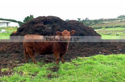 Cow Manure Fertilizer Solution pelletizing engineer for dairy manure