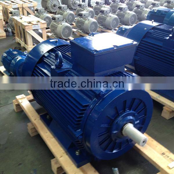 IEC Standard UL Certified Small Three Phase Electric Motor