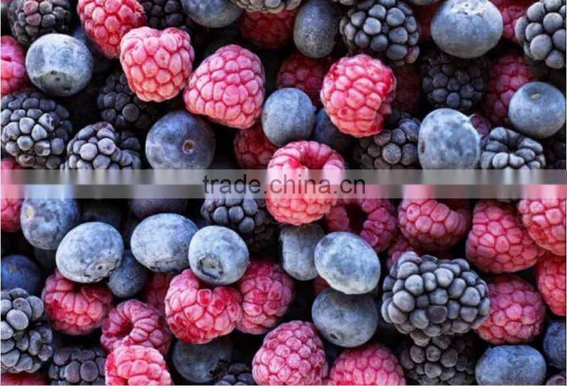 food freeze dryer machine for drying mango