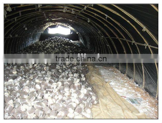 PE grid film /agriculture plastic greenhouse film with light transmittance:25% and 15%