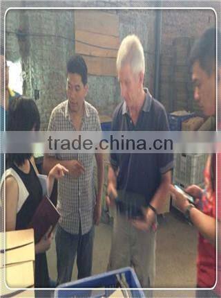 Water Usage and clean water Application peripheral pump