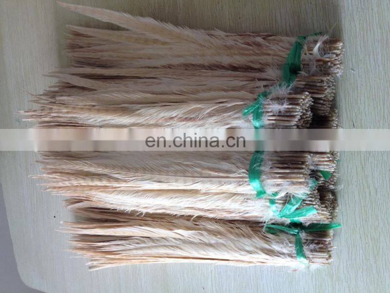 white color ringneck pheasant feathers