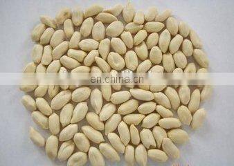 High efficiency peanuts roaster/coffee bean roaster/roasted peanut peeling machines