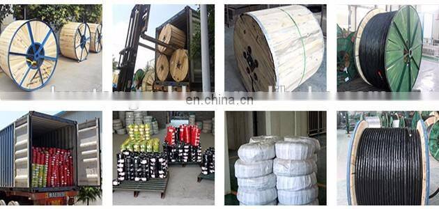 0.6/1KV U1000RVFV xlpe pvc wire cable armoured POWER CABLE