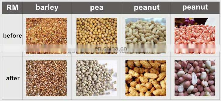 Automatic small nut roasting machine auto gas lpg electric mini dry nuts rotary drum roaster business cheap price for whole sale