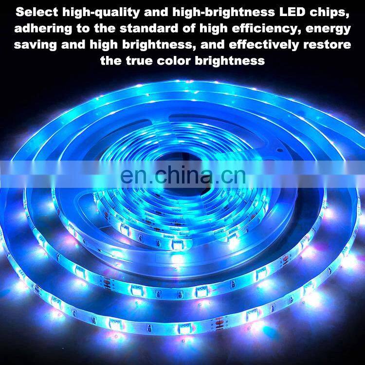 Smart Wifi Waterproof Neon RGB Led Strip Lights Kit