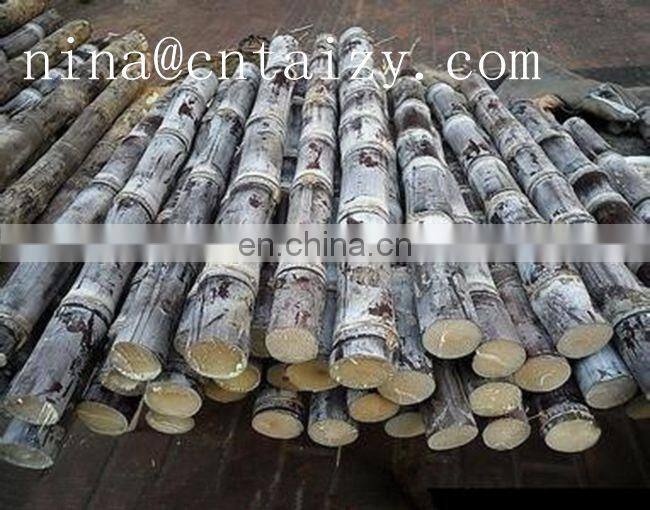 High quality sugar cane juicer machine price home sugar cane juicer electric sugar cane juicer machine