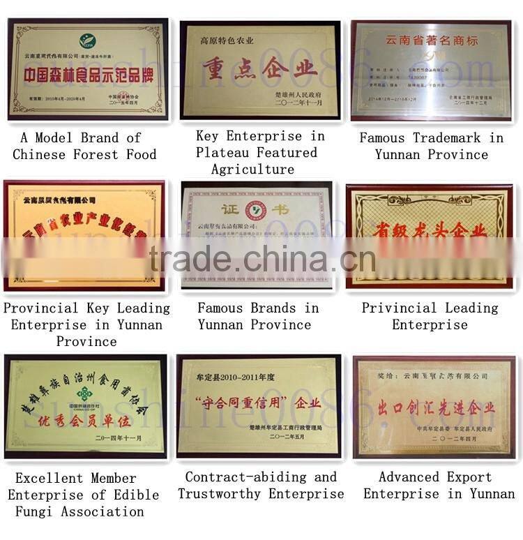 High Quality Truffle Black Truffles with Market Prices for Mushroom