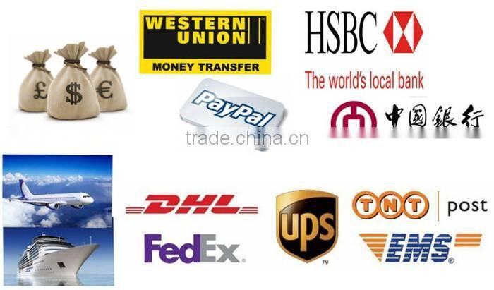 Flexible color changing led neon rope light