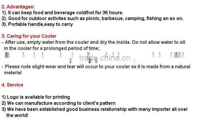 Family size picnic cooler