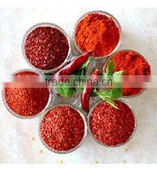 Big Size Chili Cutting Ring Chili Segment Chili Circle