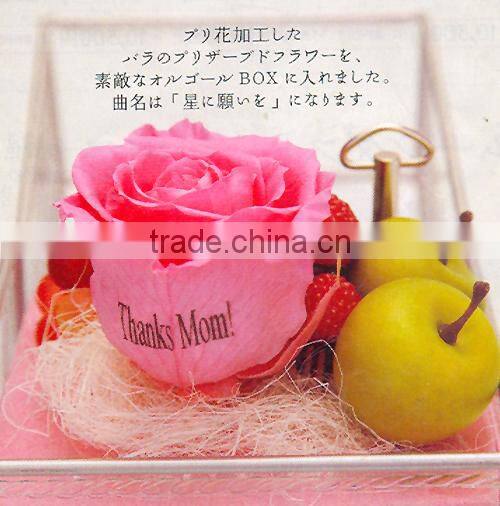 Electric Power Supply and Digital Flower printer