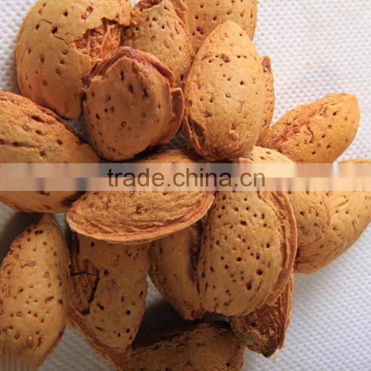 Bitter Almonds/ Almond nut/ Almonds kernel from China