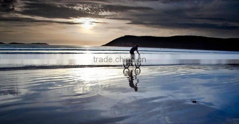 2016 26'' Beach Cruiser Bikes for Man/ Beach Cruiser bicicletas/ cruiser frame(PW-B26515)