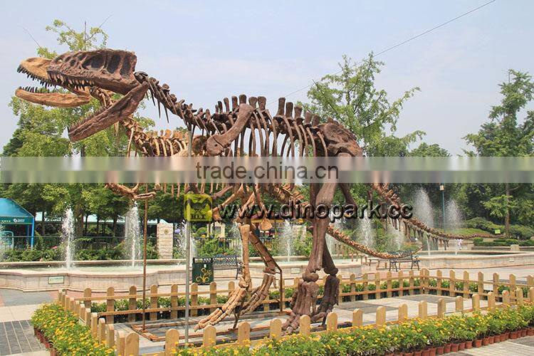 HLT Dinosaur Fossil dinosaur skeleton for sale