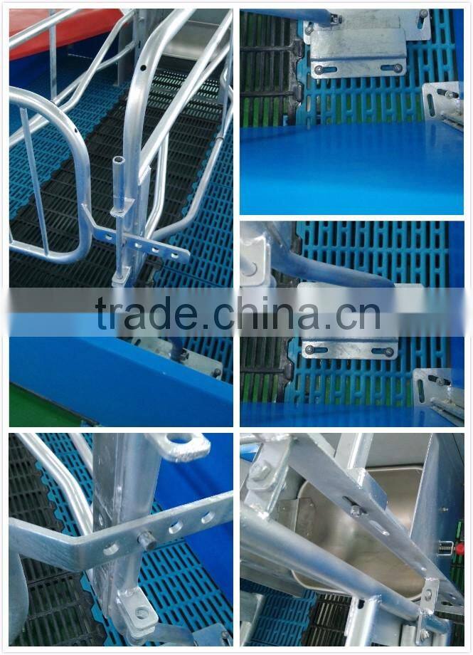 farrowing crates for pigs