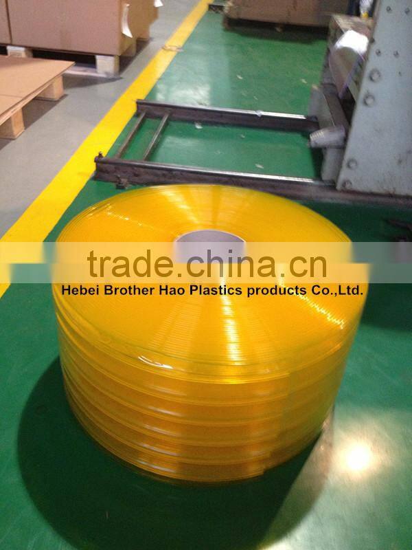 anti-insect strip door