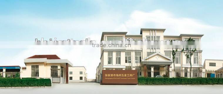 Wood Chisel with Plastic handle HA215