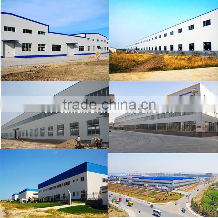 Wide span famous light steel structure workshop