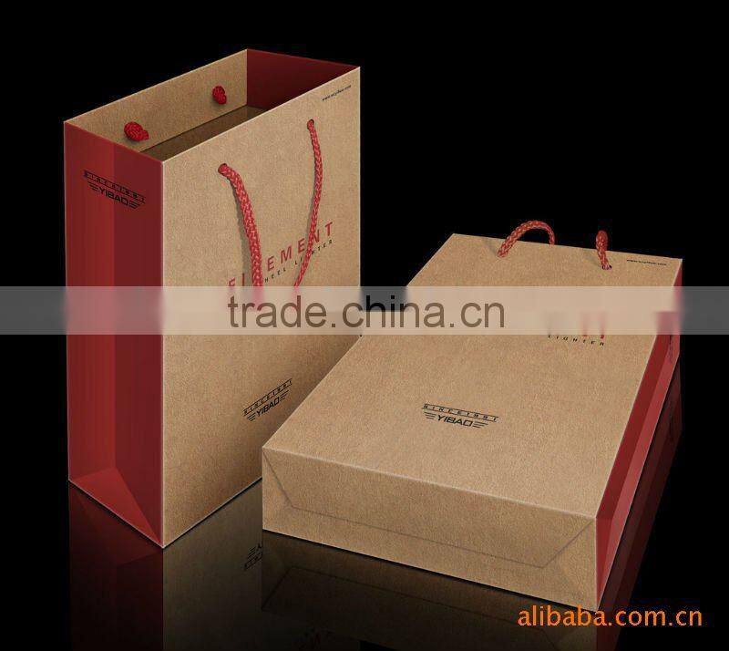 2013 New Luxury Paper Shopping Bag