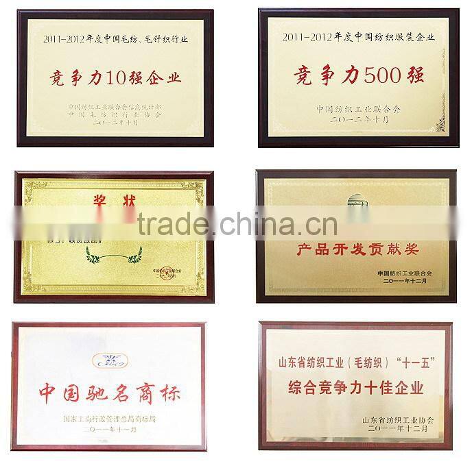 Cheap Double Thick Heavy Plush Raschael Mink Blankets