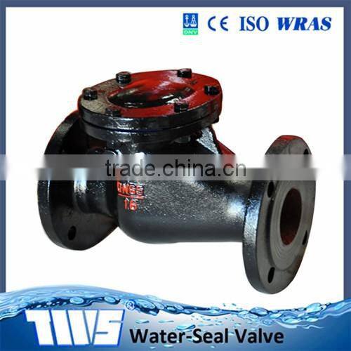 DN 65 Ductile Iron PN 16 Swing Check Valves