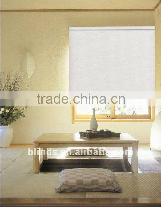 Electric Window for Home